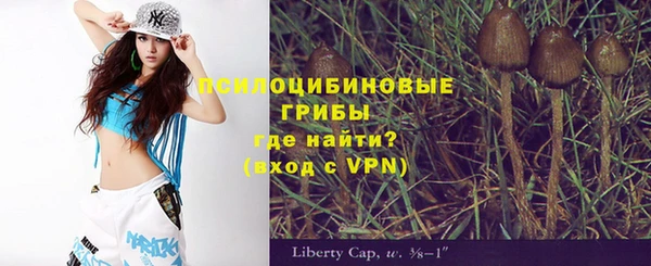 гидра Баксан