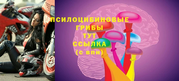 гидра Баксан