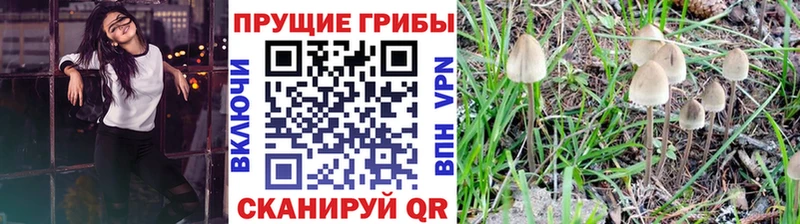 Галлюциногенные грибы Psilocybe  хочу   маркетплейс клад  Ладушкин 